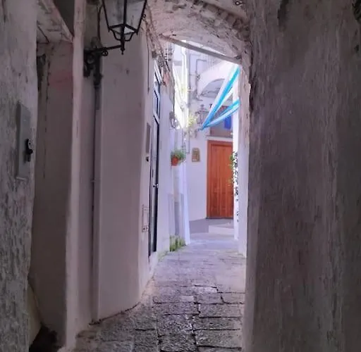 Nest - Grazioso Monolocale Indipendente Lejlighed